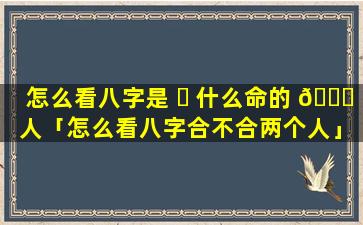 怎么看八字是 ☘ 什么命的 🐕 人「怎么看八字合不合两个人」